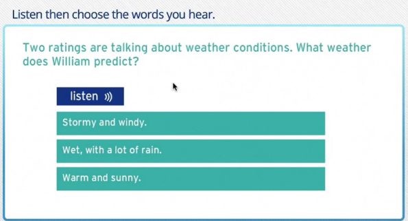 Marlins test Listening task 2