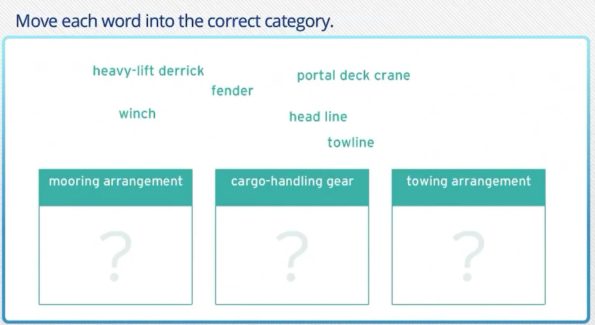 Marlins test sorting categories
