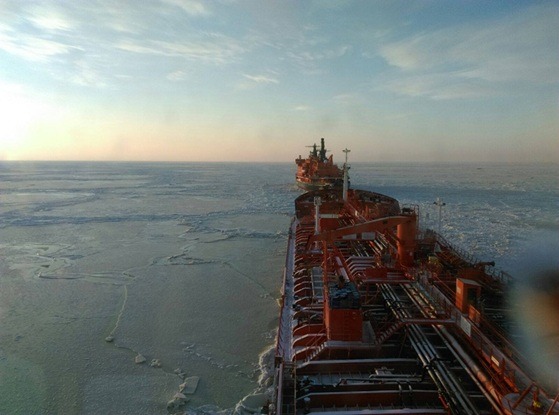 морской лед